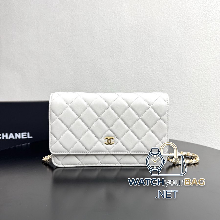 33814 Chanel WOC