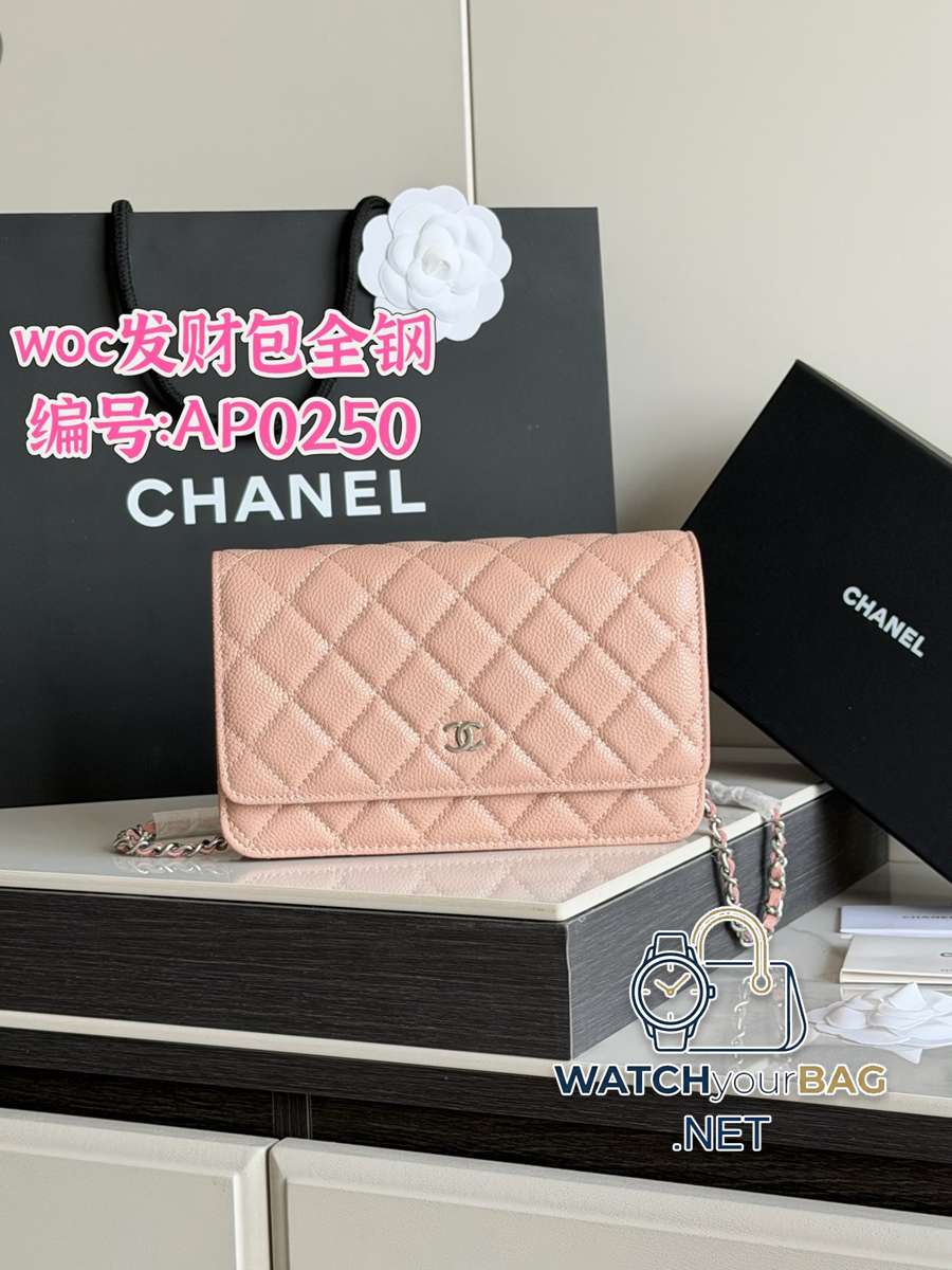 AP0250 Chanel WOC