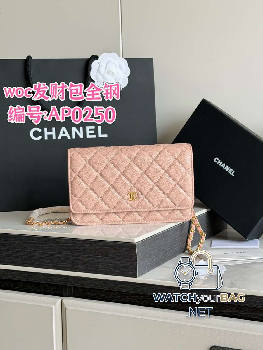 AP0250 Chanel WOC