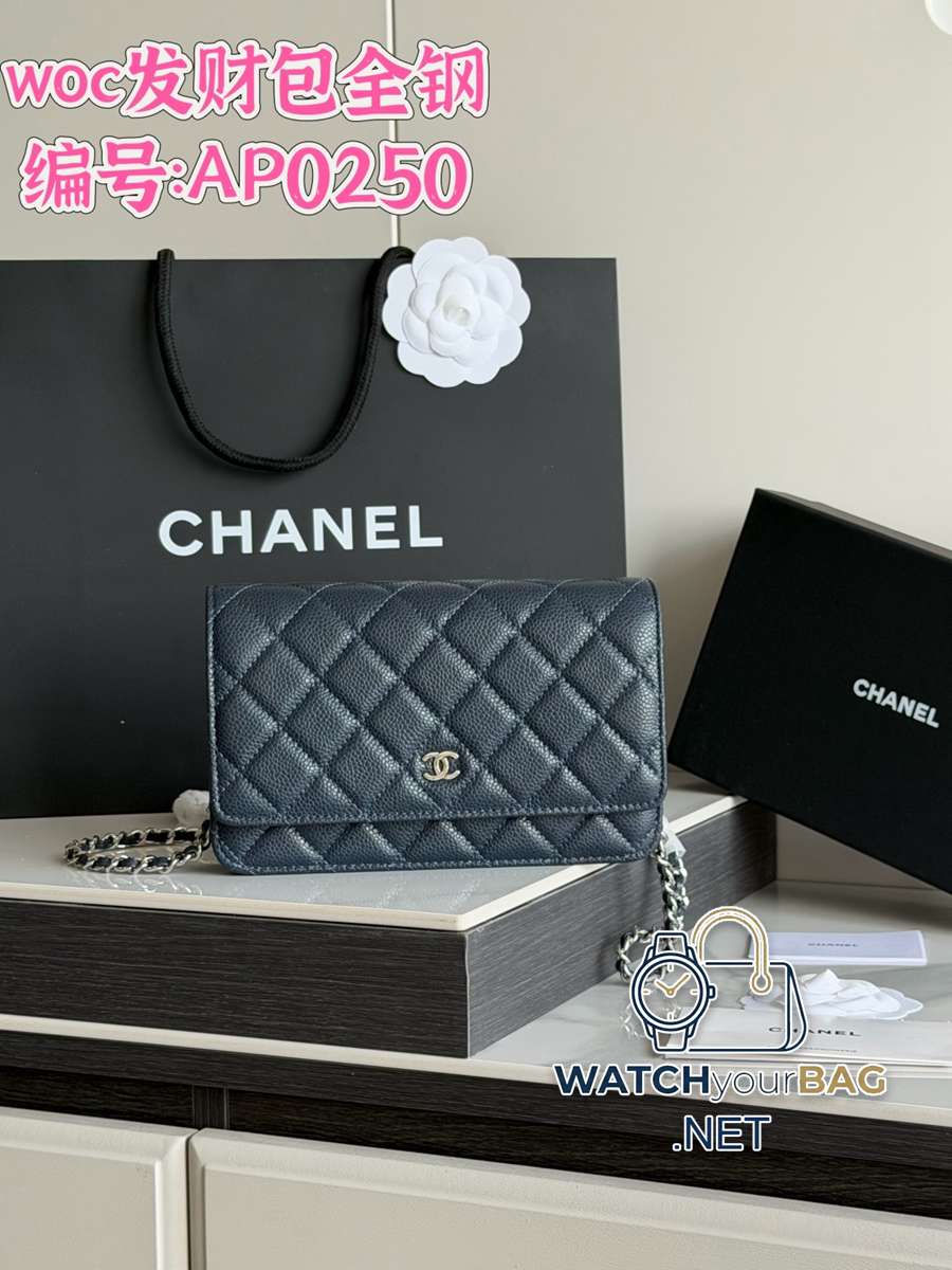 AP0250 Chanel WOC