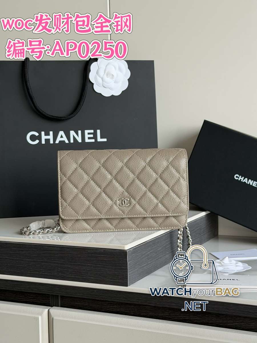 AP0250 Chanel WOC