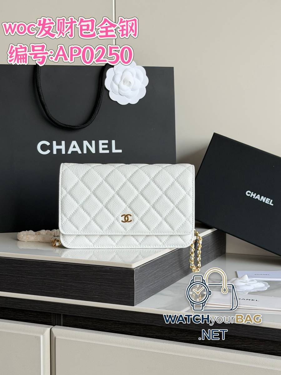 AP0250 Chanel WOC
