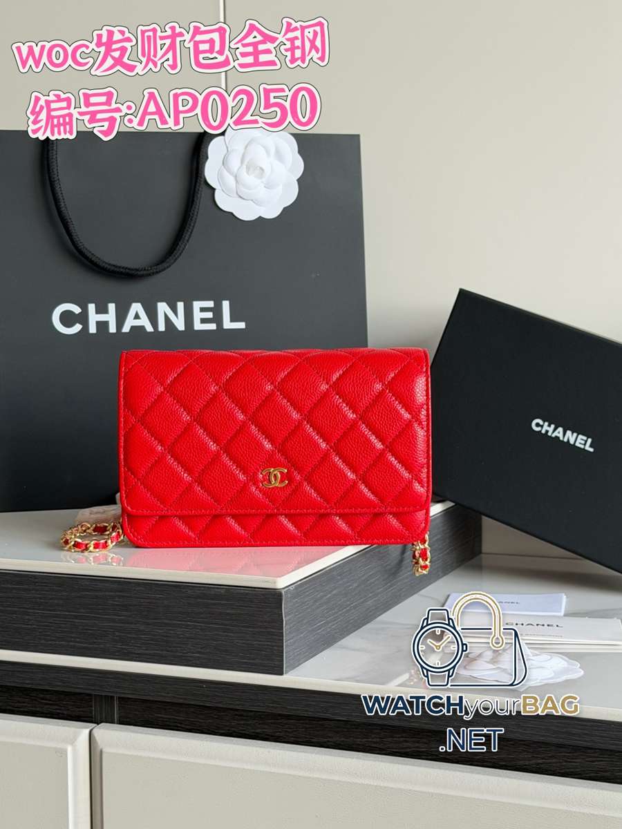 AP0250 Chanel WOC