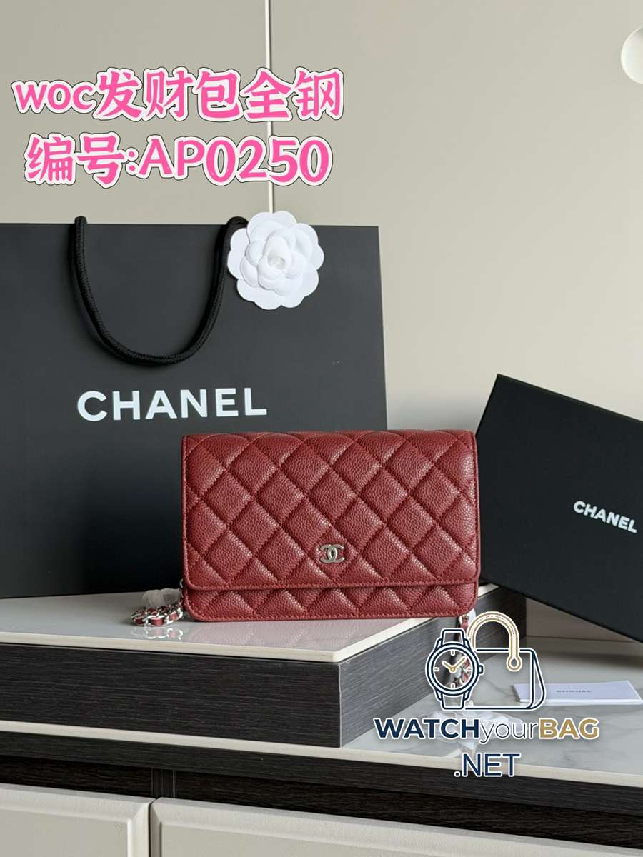 AP0250 Chanel WOC