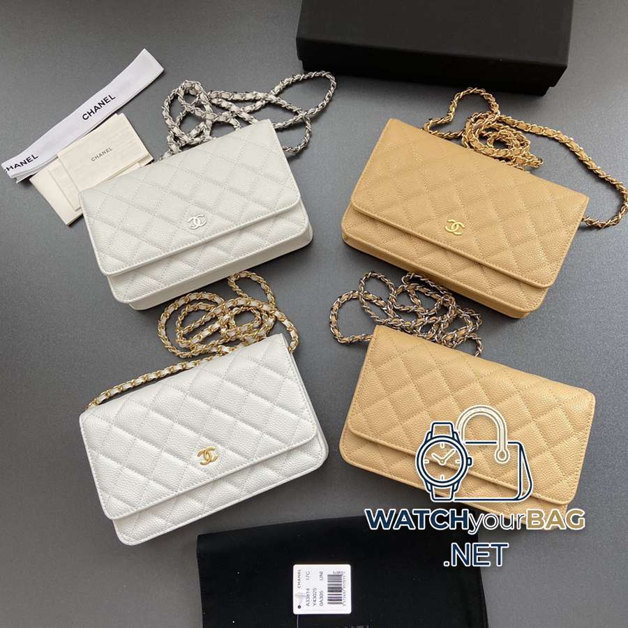 33814 Chanel Bag