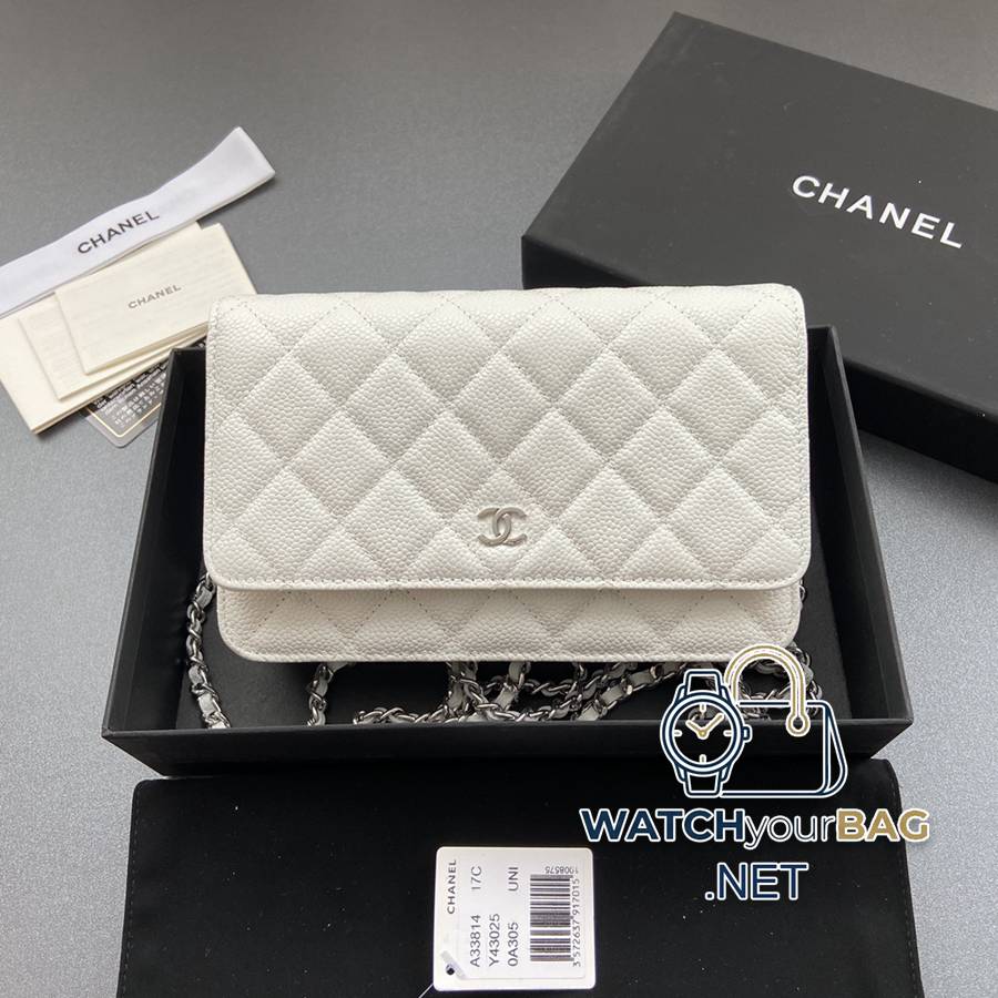 33814 Chanel Bag