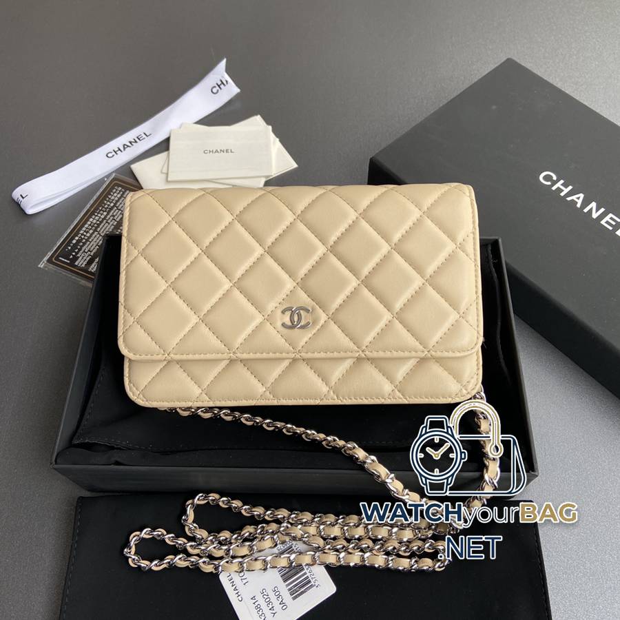 33814 Chanel Bag