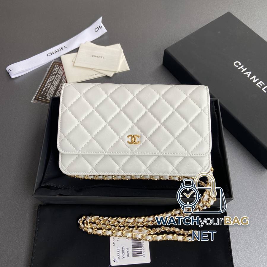 33814 Chanel Bag