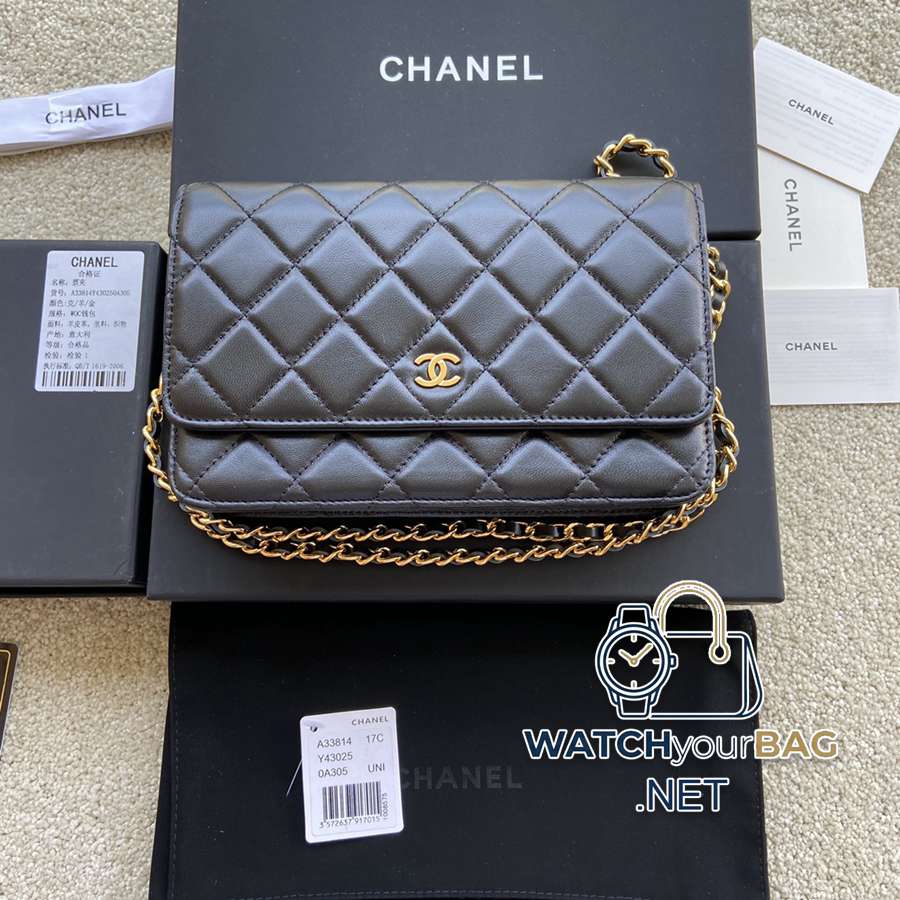 33814 Chanel Bag