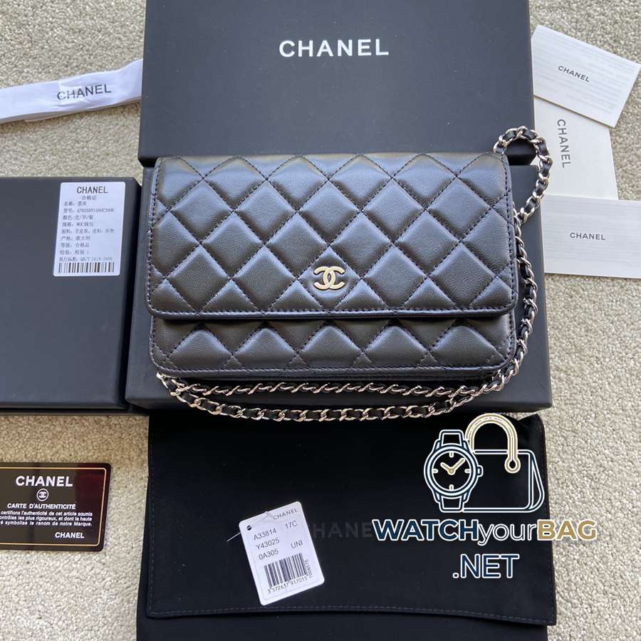 33814 Chanel Bag