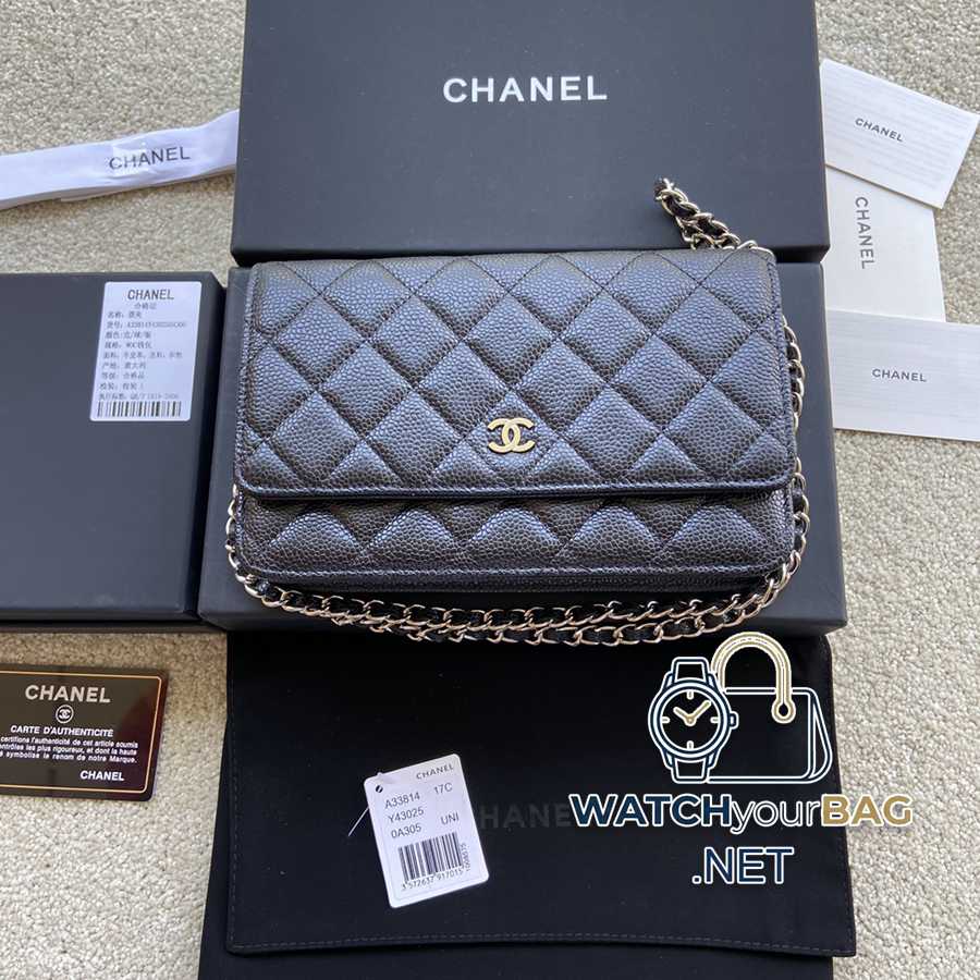 33814 Chanel Bag