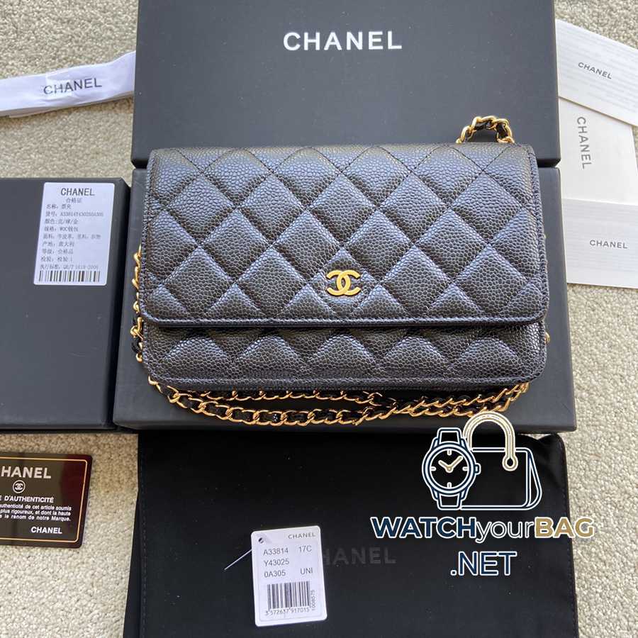 33814 Chanel Bag