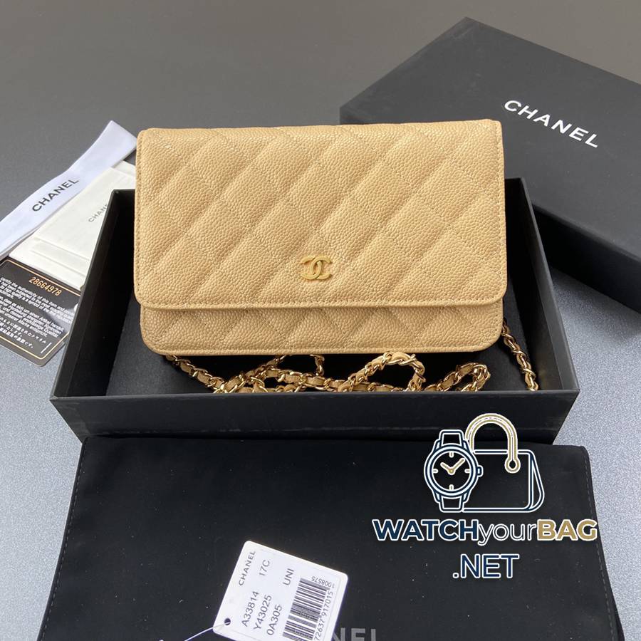 33814 Chanel Bag