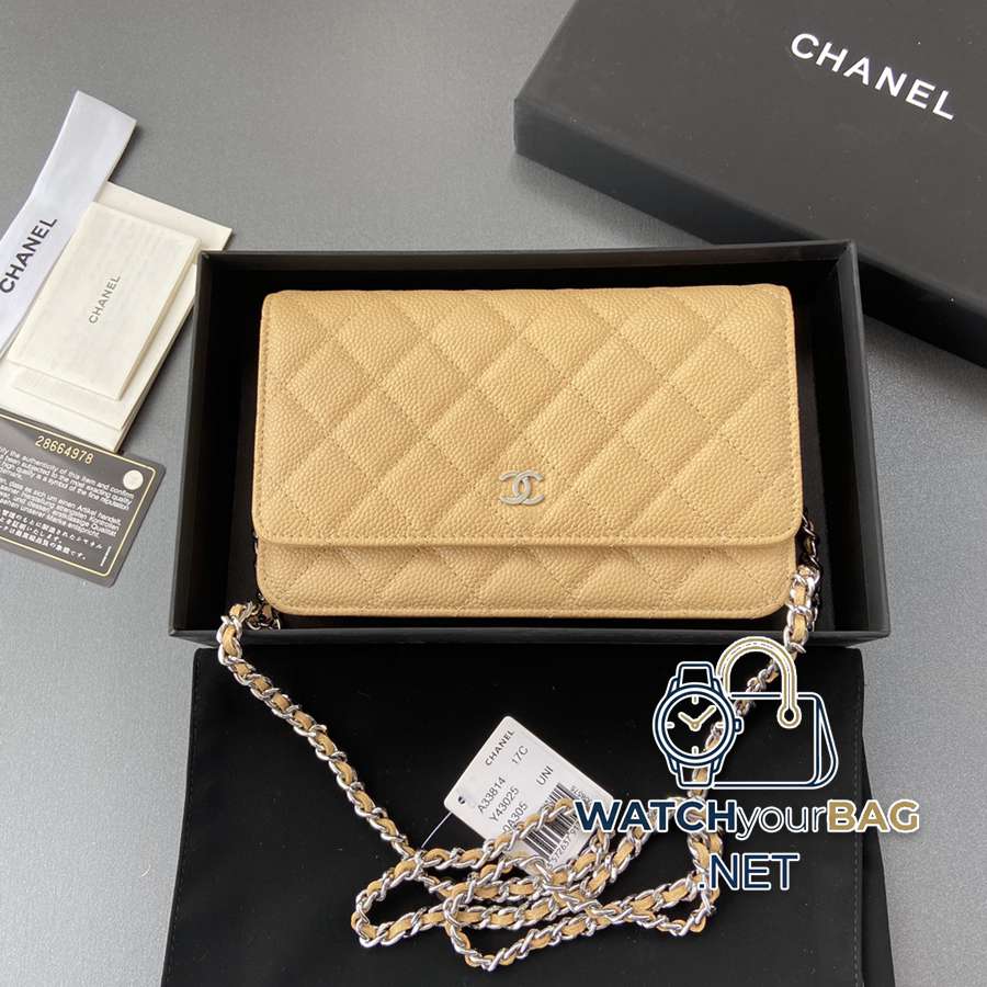 33814 Chanel Bag