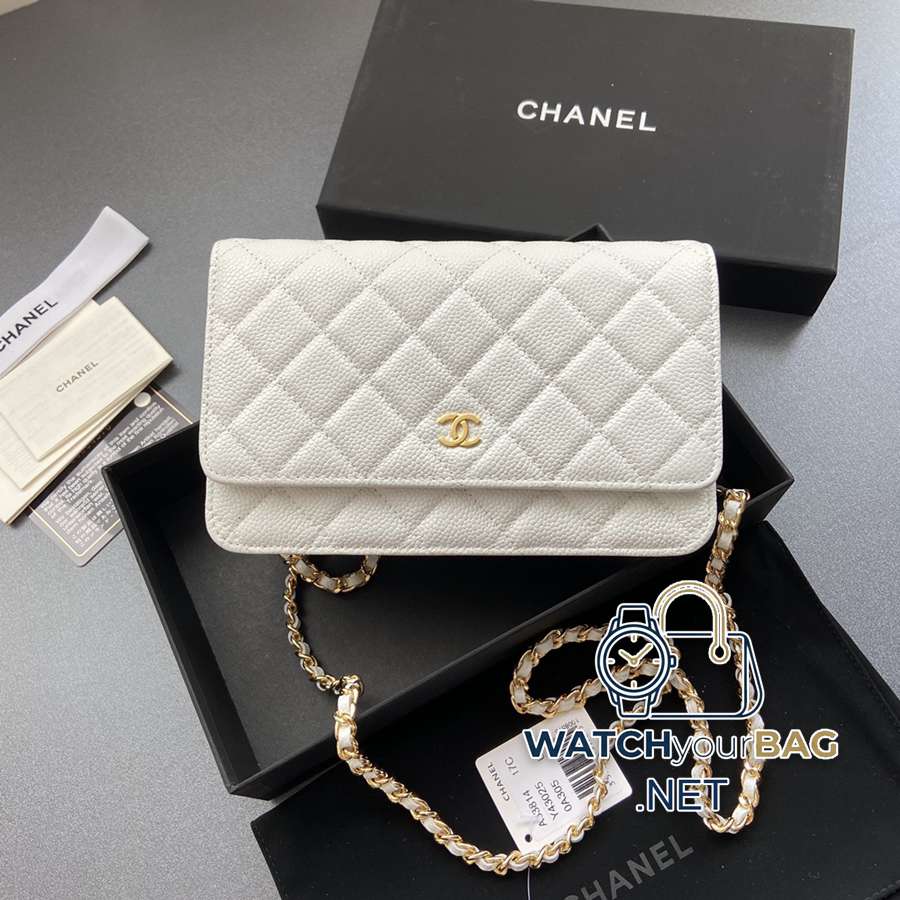 33814 Chanel Bag