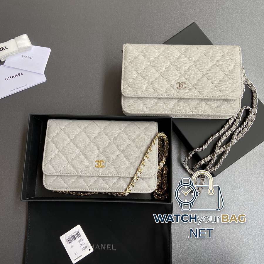 AP0250 Chanel Bag