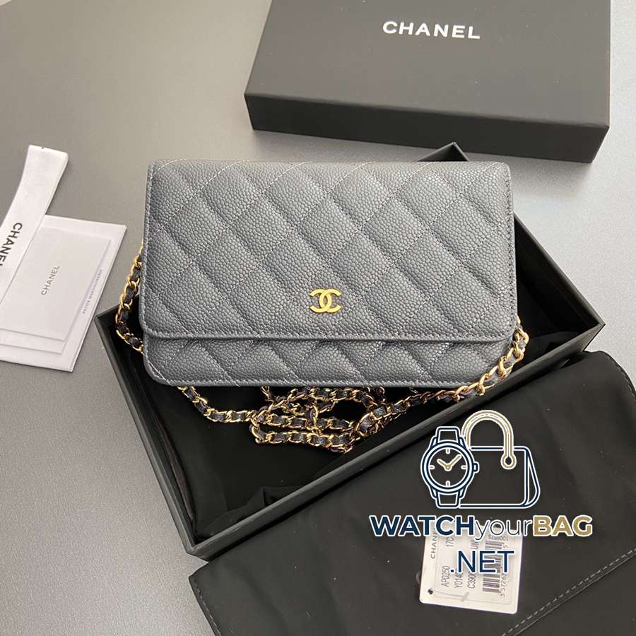 AP0250 Chanel Bag
