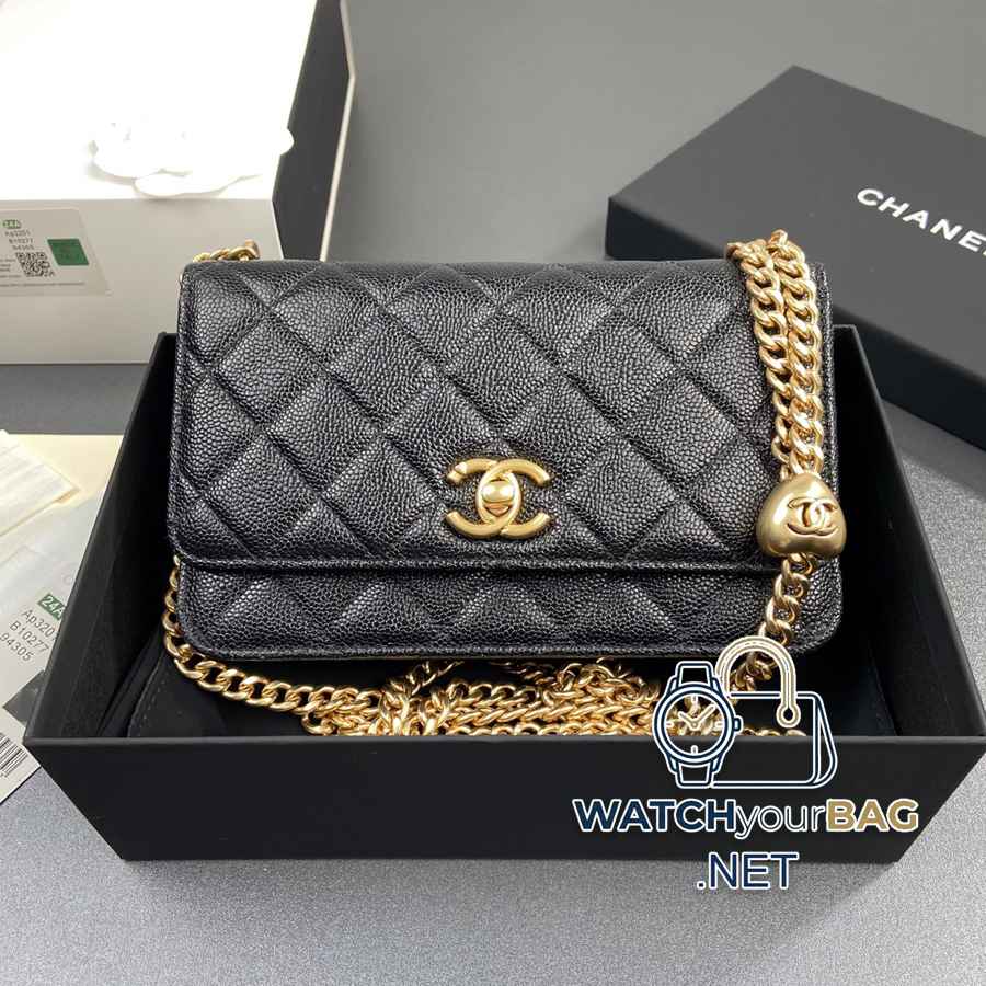 AP3201 Chanel Bag