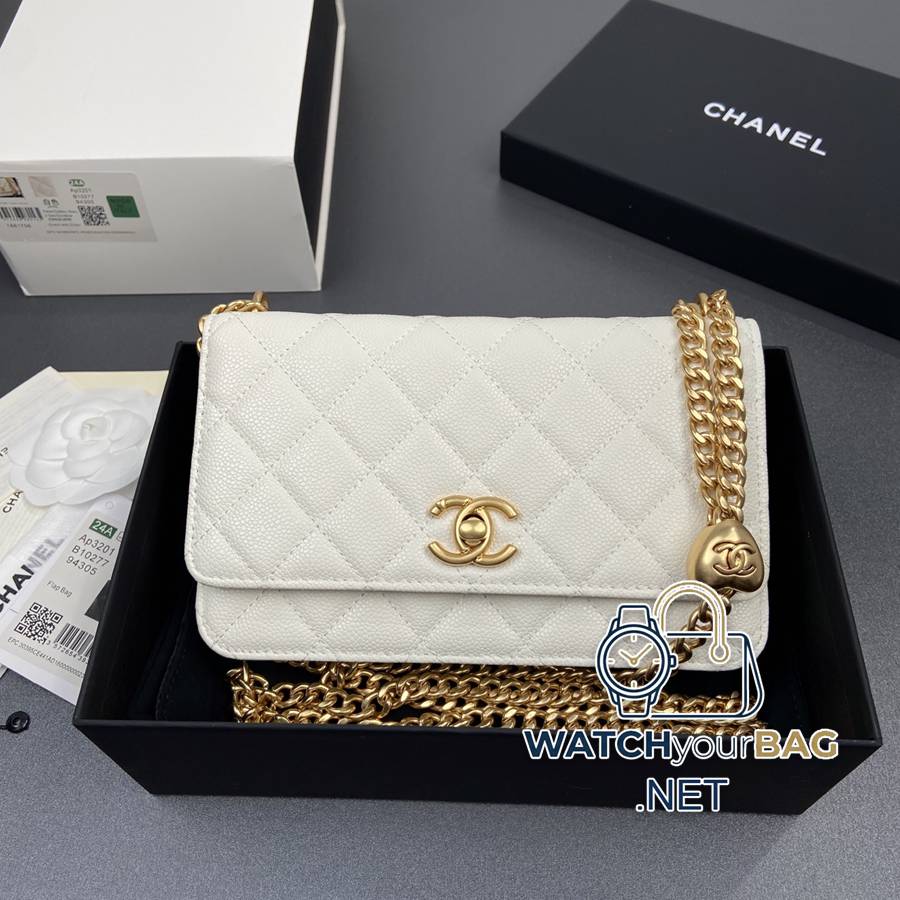 AP3201 Chanel Bag