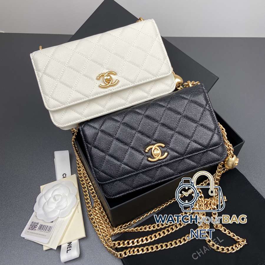 AP3201 Chanel Bag