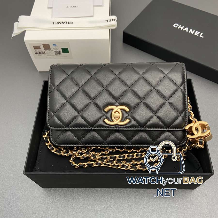 AP3938 Chanel WOC