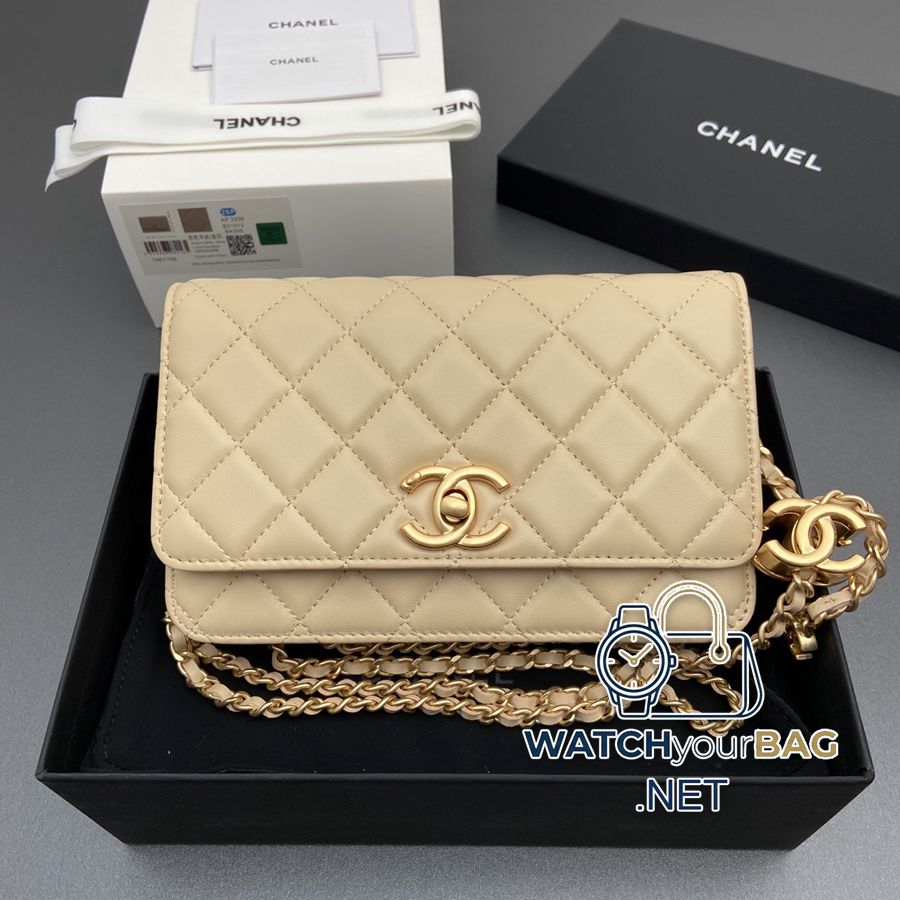 AP3938 Chanel WOC
