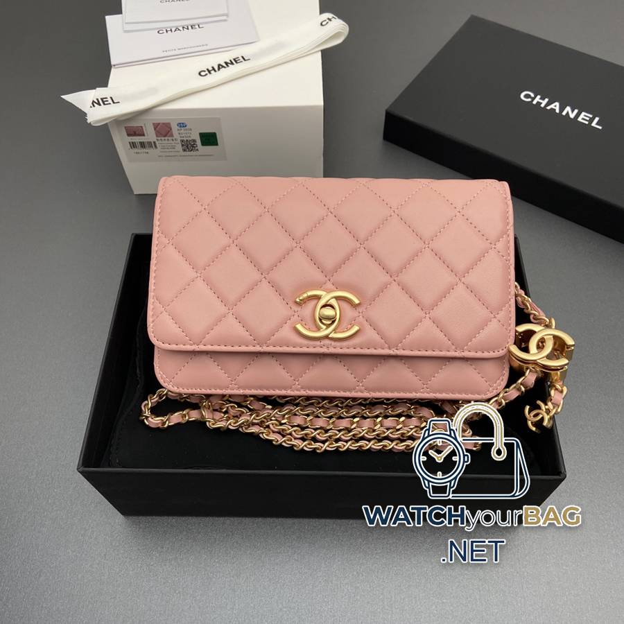 AP3938 Chanel WOC