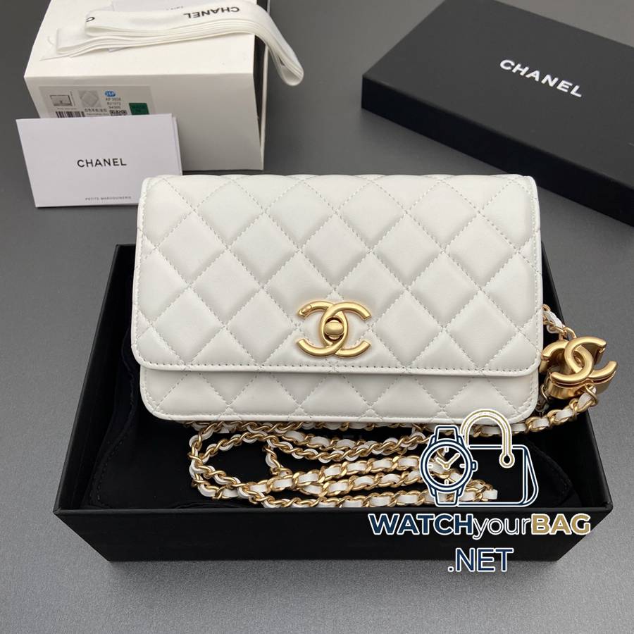 AP3938 Chanel WOC