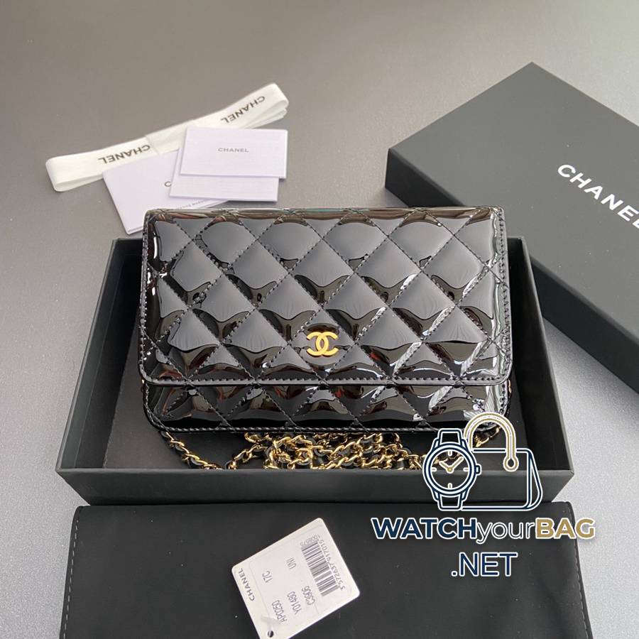 AP0250 Chanel Bag