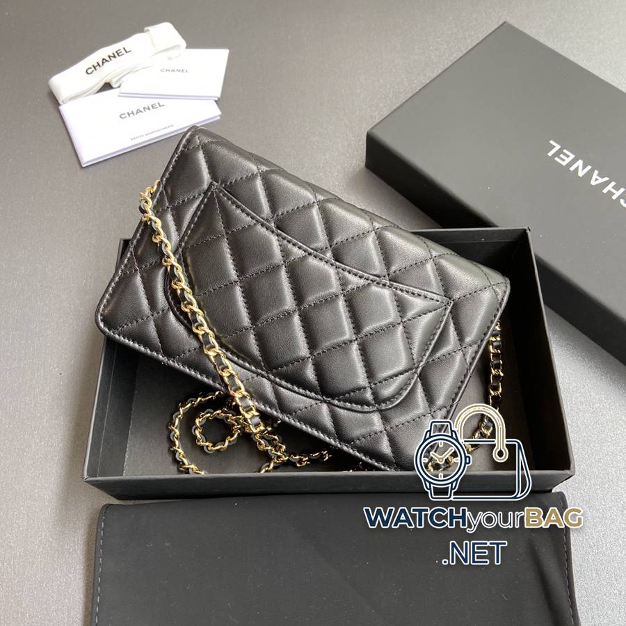 AP2053 Chanel Bag