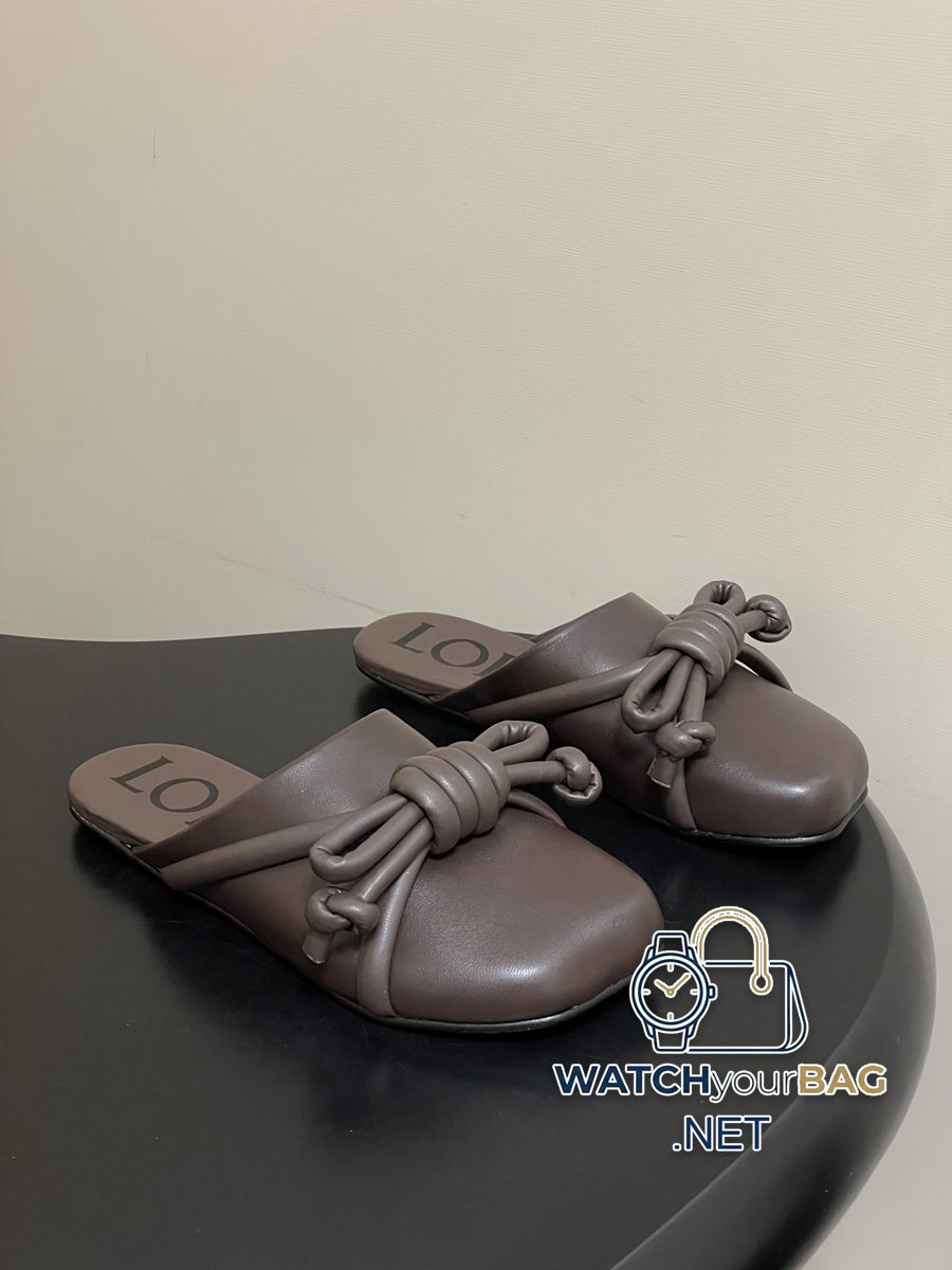 FASHIONABLE Loewe Ballet Flats