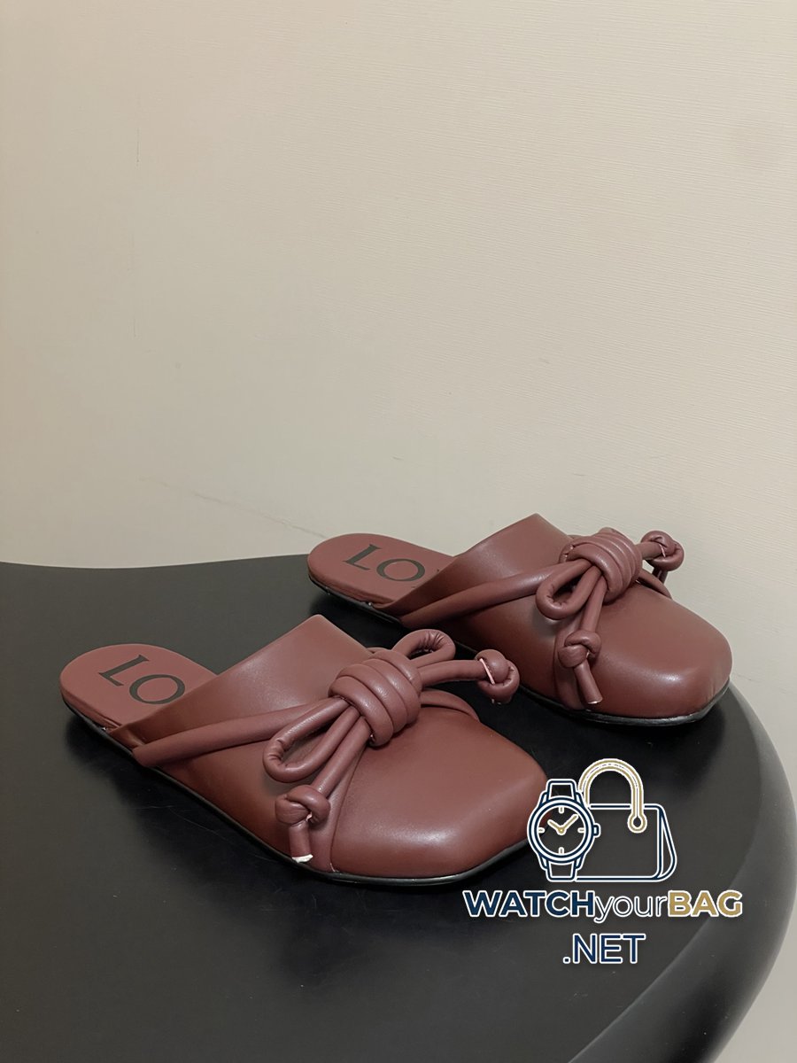 FASHIONABLE Loewe Ballet Flats