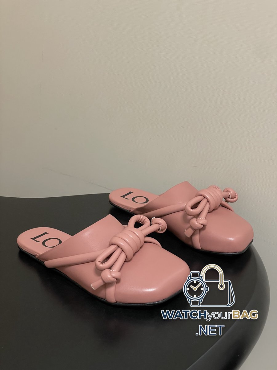 FASHIONABLE Loewe Ballet Flats